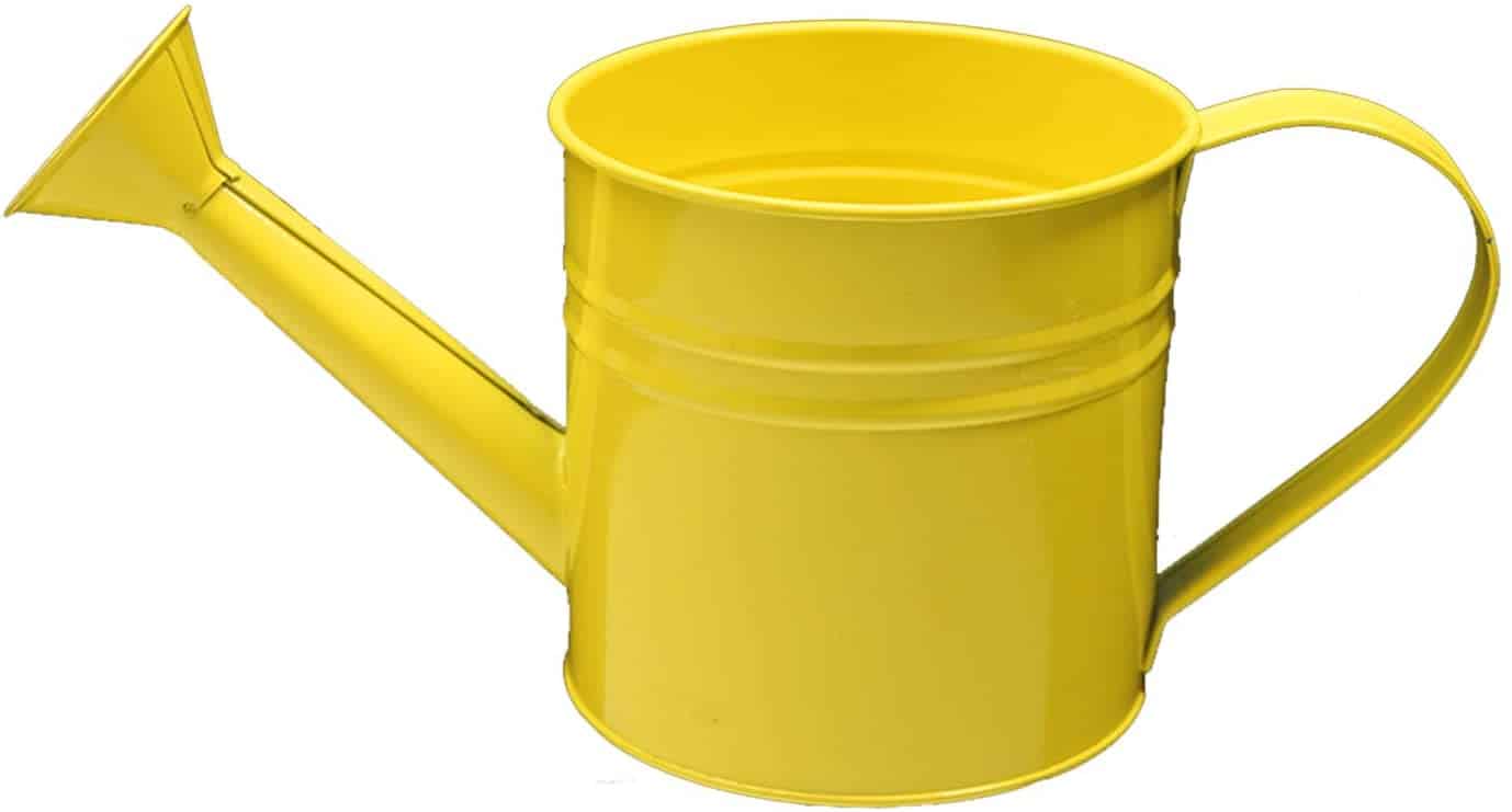 Safety Yellow