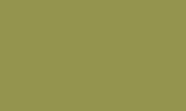 RAL 1020 - Olive Yellow